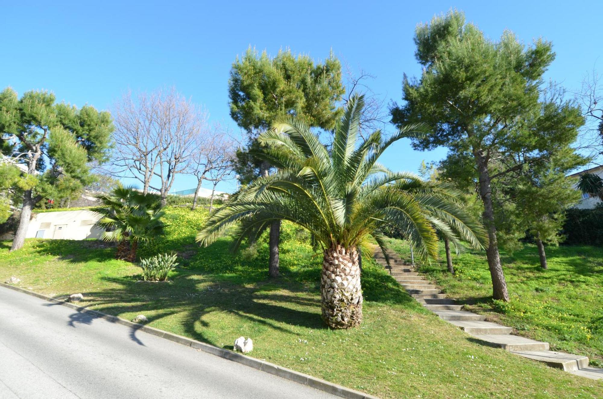 Plein Ciel - Appartement 5 Personnes Avec Piscine Sur La Corniche Fleurie A นีซ ภายนอก รูปภาพ